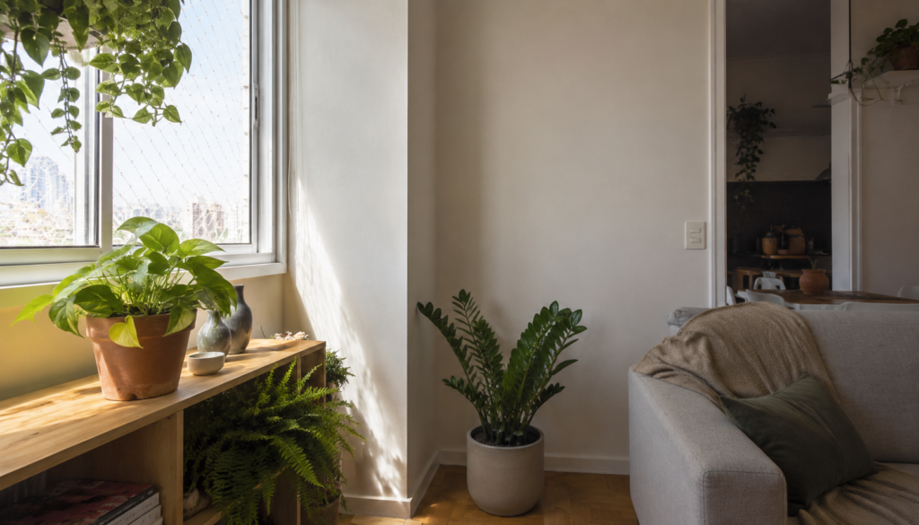 Sala aconchegante repleta de plantas