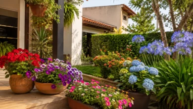 flores para cultivar em varandas, quintais e jardins